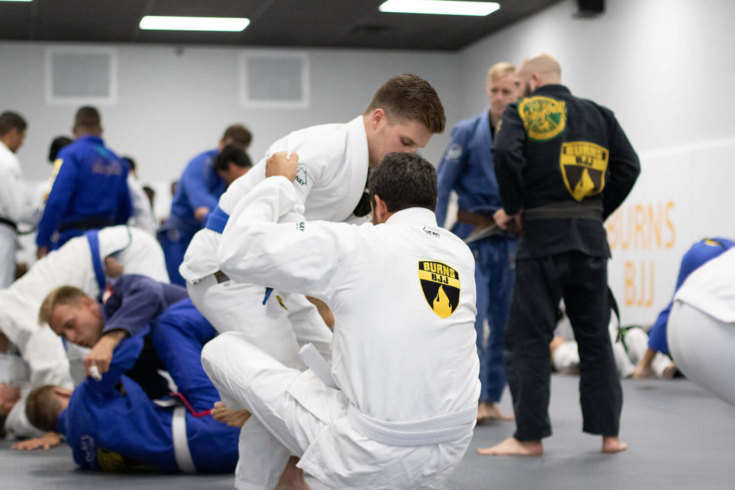 Brazilian Jiu-Jitsu: The Gentle Art Unveiled