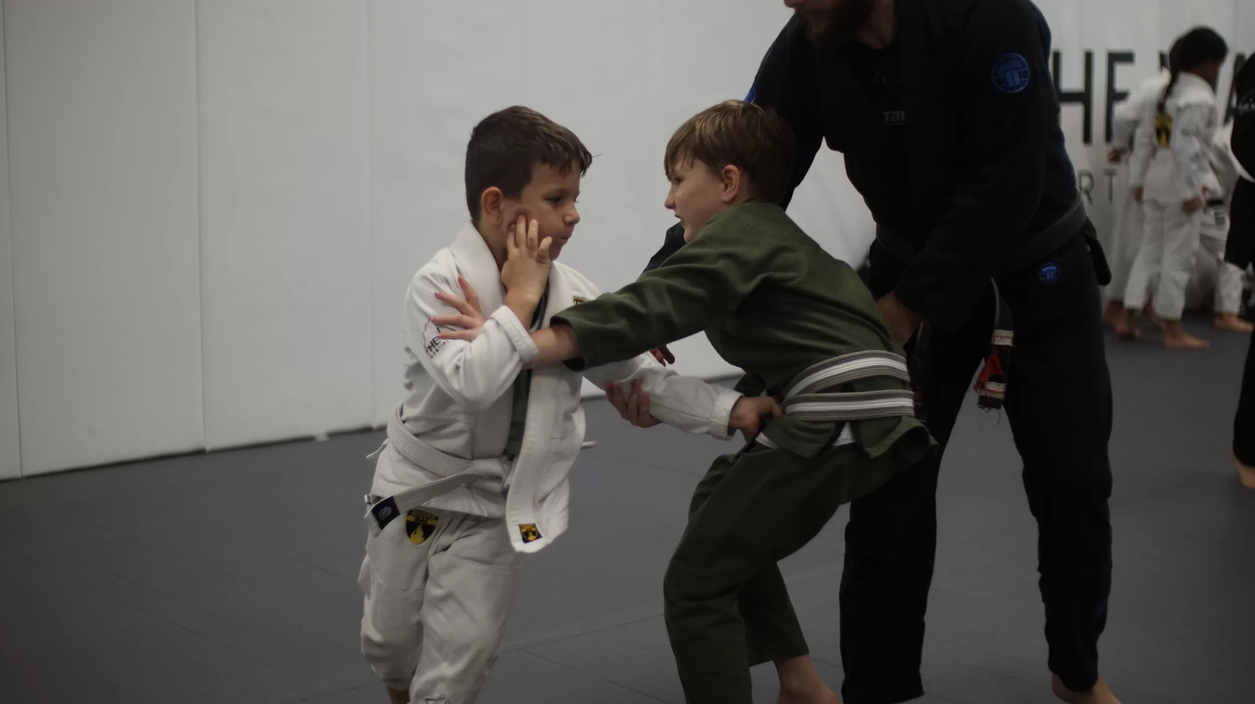 The Importance of Brazilian Jiu Jitsu in the Physical, Mental, and Cognitive Development of Children