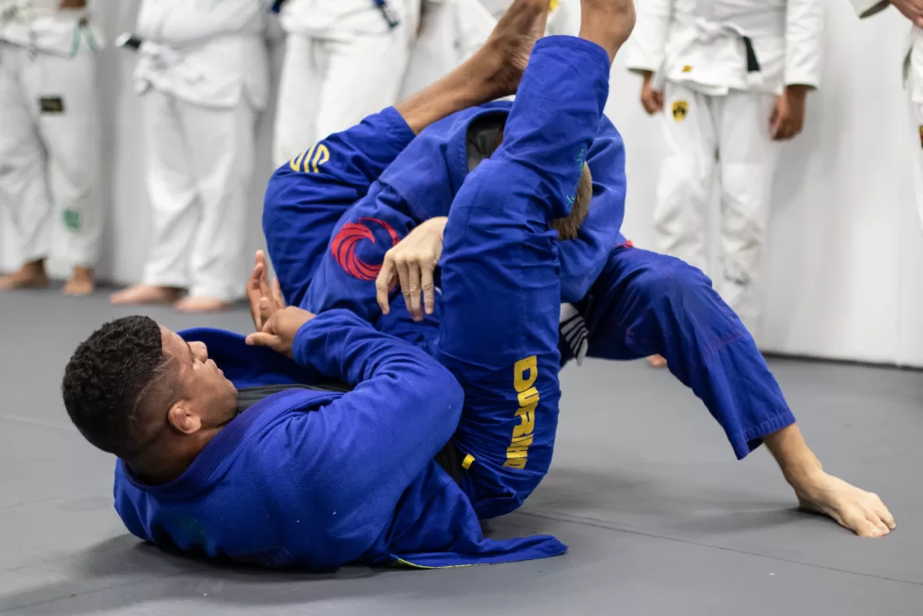 jiu jitsu bjj martial arts boynton beach palm beach, lantana, the way martial arts